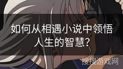 如何从相遇小说中领悟人生的智慧？