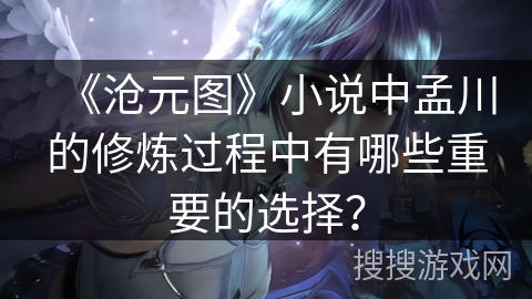 《沧元图》小说中孟川的修炼过程中有哪些重要的选择？