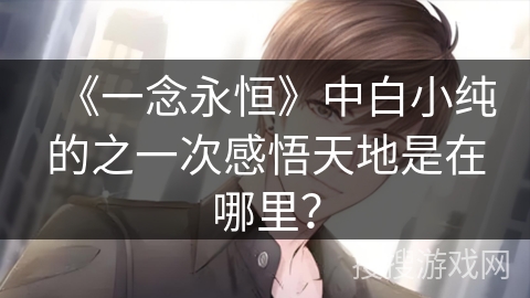 《一念永恒》中白小纯的之一次感悟天地是在哪里？