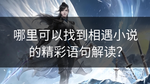 哪里可以找到相遇小说的精彩语句解读？