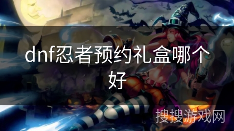 dnf忍者预约礼盒哪个好