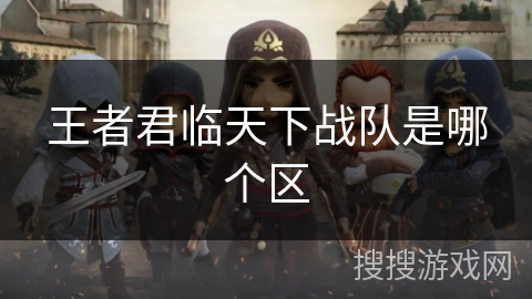 王者君临天下战队是哪个区