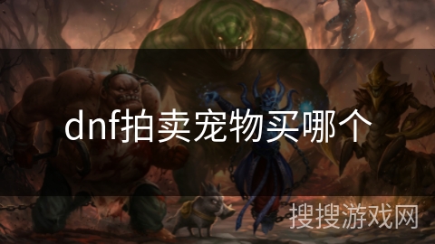 dnf拍卖宠物买哪个