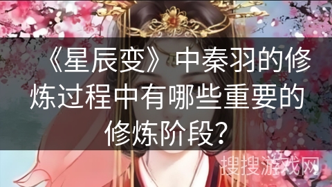 《星辰变》中秦羽的修炼过程中有哪些重要的修炼阶段？