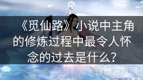 《觅仙路》小说中主角的修炼过程中最令人怀念的过去是什么？