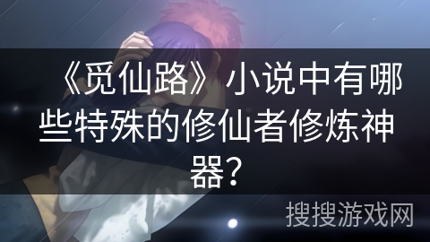 《觅仙路》小说中有哪些特殊的修仙者修炼神器？