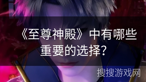 《至尊神殿》中有哪些重要的选择？