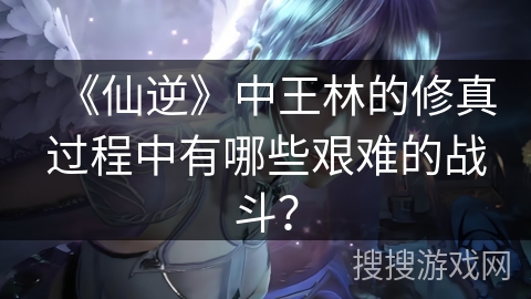 《仙逆》中王林的修真过程中有哪些艰难的战斗？