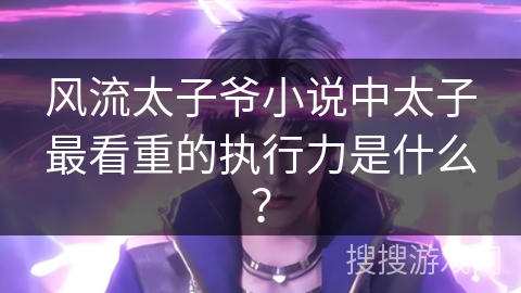 风流太子爷小说中太子最看重的执行力是什么？