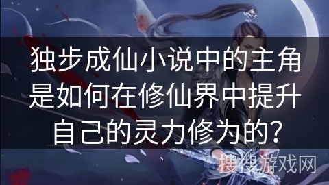 独步成仙小说中的主角是如何在修仙界中提升自己的灵力修为的？