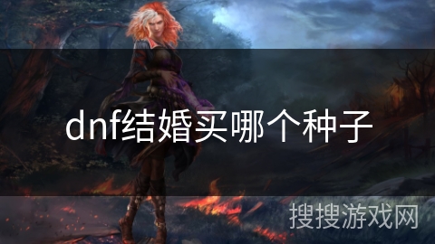 dnf结婚买哪个种子