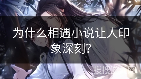 为什么相遇小说让人印象深刻？