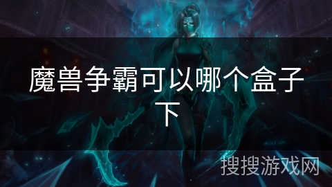 魔兽争霸可以哪个盒子下