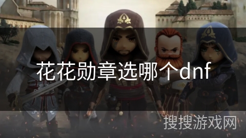 花花勋章选哪个dnf