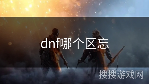 dnf哪个区忘