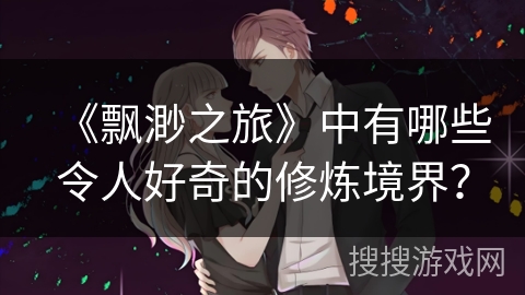 《飘渺之旅》中有哪些令人好奇的修炼境界？