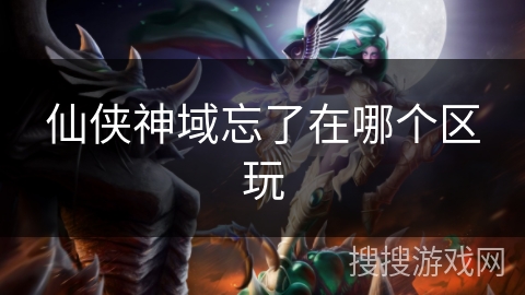 仙侠神域忘了在哪个区玩