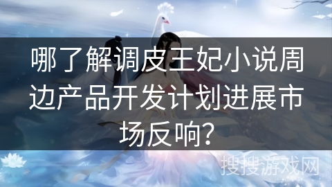 哪了解调皮王妃小说周边产品开发计划进展市场反响？