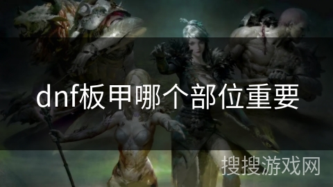 dnf板甲哪个部位重要