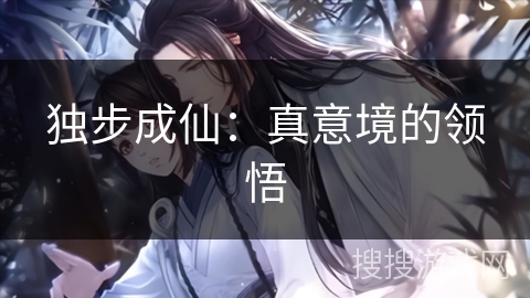 独步成仙：真意境的领悟