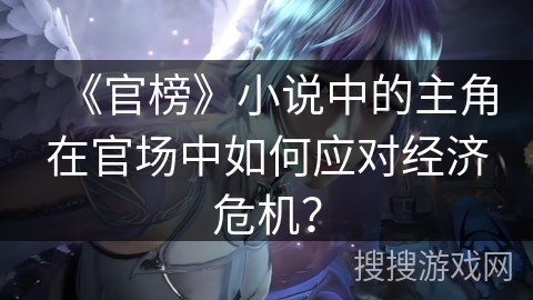 《官榜》小说中的主角在官场中如何应对经济危机？