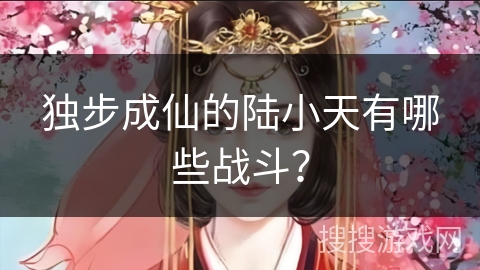 独步成仙的陆小天有哪些战斗？