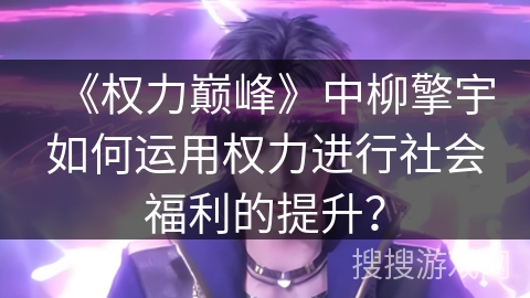 《权力巅峰》中柳擎宇如何运用权力进行社会福利的提升？