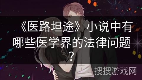 《医路坦途》小说中有哪些医学界的法律问题？