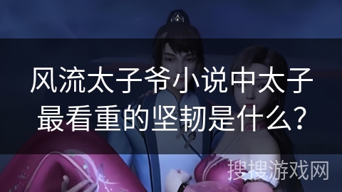 风流太子爷小说中太子最看重的坚韧是什么？