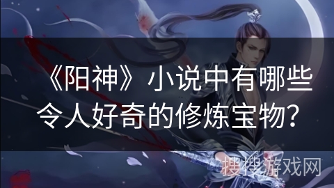 《阳神》小说中有哪些令人好奇的修炼宝物？