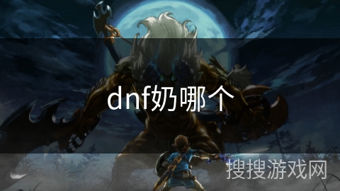 dnf奶哪个