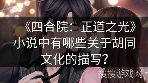 《四合院：正道之光》小说中有哪些关于胡同文化的描写？