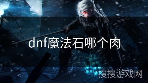 dnf魔法石哪个肉