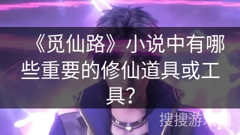 《觅仙路》小说中有哪些重要的修仙道具或工具？