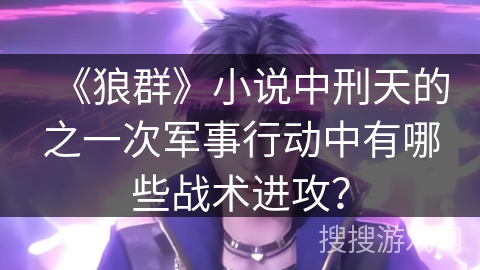 《狼群》小说中刑天的之一次军事行动中有哪些战术进攻？