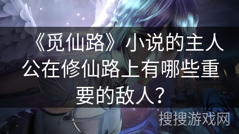 《觅仙路》小说的主人公在修仙路上有哪些重要的敌人？