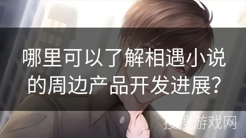 哪里可以了解相遇小说的周边产品开发进展？