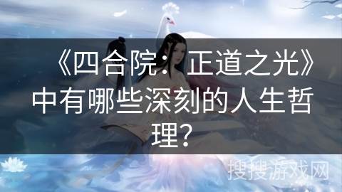《四合院：正道之光》中有哪些深刻的人生哲理？