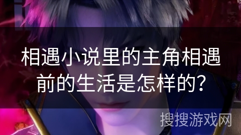 相遇小说里的主角相遇前的生活是怎样的？