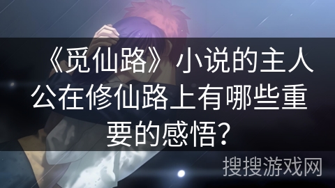 《觅仙路》小说的主人公在修仙路上有哪些重要的感悟？
