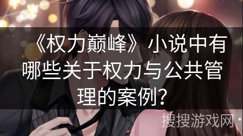 《权力巅峰》小说中有哪些关于权力与公共管理的案例？