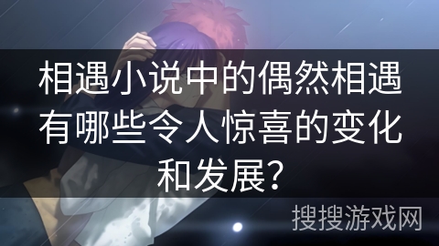 相遇小说中的偶然相遇有哪些令人惊喜的变化和发展？