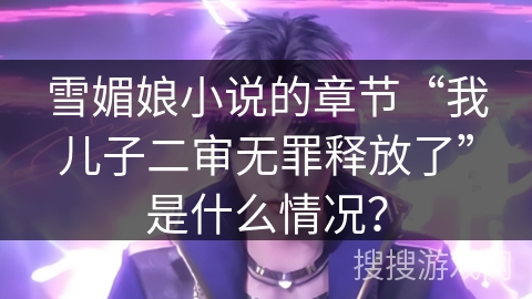 雪媚娘小说的章节“我儿子二审无罪释放了”是什么情况？