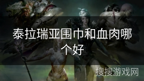 泰拉瑞亚围巾和血肉哪个好