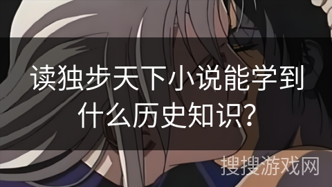读独步天下小说能学到什么历史知识？