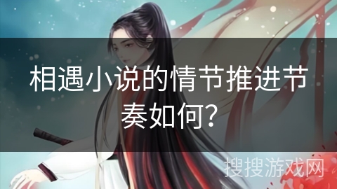 相遇小说的情节推进节奏如何？