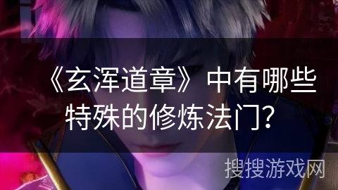 《玄浑道章》中有哪些特殊的修炼法门？