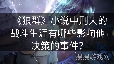 《狼群》小说中刑天的战斗生涯有哪些影响他决策的事件？