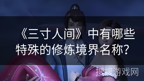 《三寸人间》中有哪些特殊的修炼境界名称？