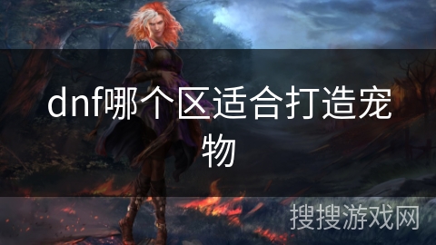 dnf哪个区适合打造宠物